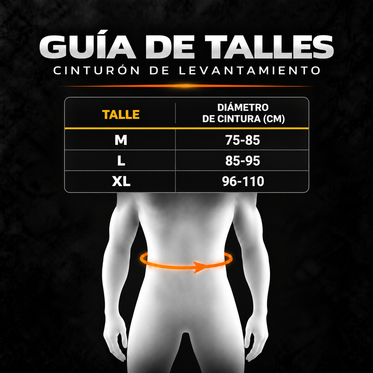 Cinturón Alpha Pro