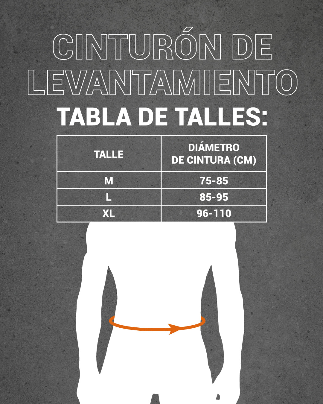 Cinturón Alpha Pro